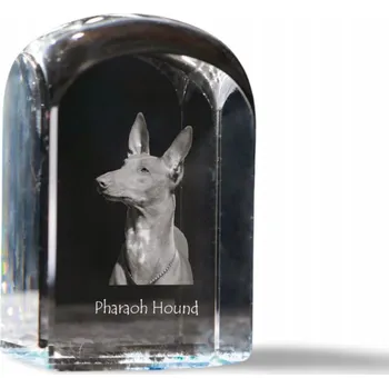 Obraz Faraon - fotografie v křišťálu, suvenýr, trofej, těžítko na papír