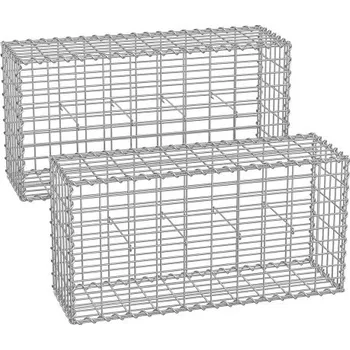 gabiony Gabionové koše 2ks 100 x 50 x 30 cm, GGB253V1