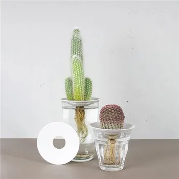 Podmiska Klíčící porcelánový talířek L