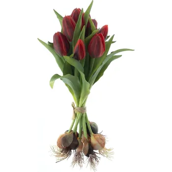 umělá květina umělé květiny, Tulipán 'Sally' svazek s cibulkou x12 červená V33 cm