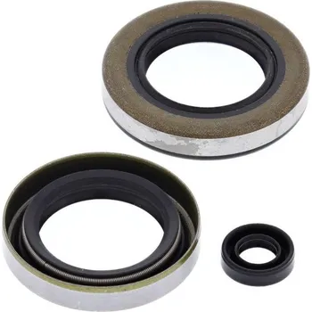 Těsnění motoru Sada gufer motoru WINDEROSA EOSK 55208