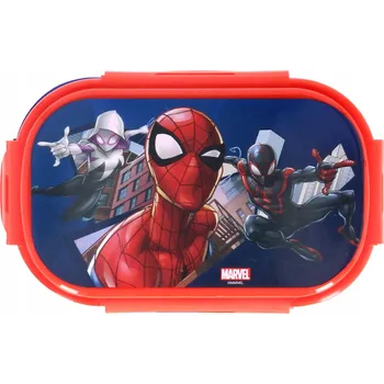 Svačinový box VELKÁ svačinový box na oběd, příbory 3v1 21x14x6