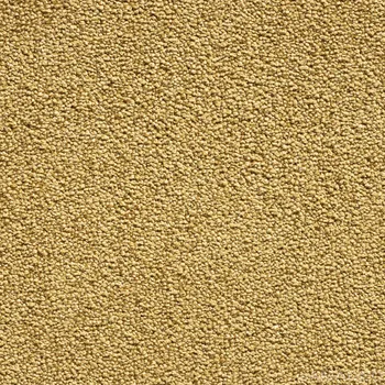 Koberec Condor group Koberec Grandeur 50 - žlutý - 4m