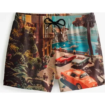 Pánské plavky Old School Swim Shorts - L