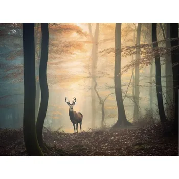 Obraz Foto obraz na plátně - Jelen v lese - P/4030/1008