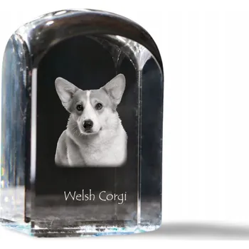 Obraz Welsh Corgi Pembroke - fotografie v křišťálu, suvenýr, těžítko na papír