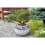 Gabionový květináč koule-L