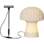 Solární lampa zapichovací Star Trading bílá 24 cm 1 ks