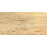 Dlažba Rako Pino Outdoor bloom 60x120 cm mat DAKV6896.1