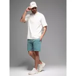 Pánské kraťasy OMBRE OM-SRWS-0122 TURQUOISE XXL