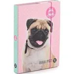 Box na sešity A5 ISHA - My love Pet
