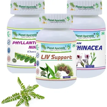 Planet Ayurveda Balíček – Komplexní podpora jater (Detox, Regenerace, Ochrana)