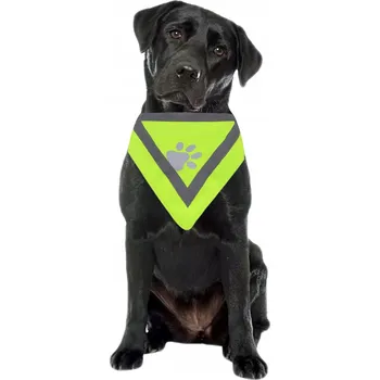 Obojek pro psa Reflexní látkový obojek pro psy Nunbell vel. M