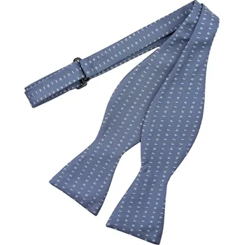 Motýlek Bubibubi Modrý vázací motýlek binární kód