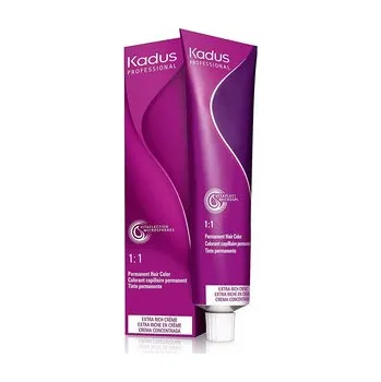 Barva na vlasy Kadus Professional Permanent Hair Color permanentní barva na vlasy 60 ml, 0/11 MIX