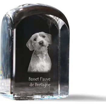 Obraz Bretaňský baset v křišťálu, suvenýr, trofej, těžítko na papír