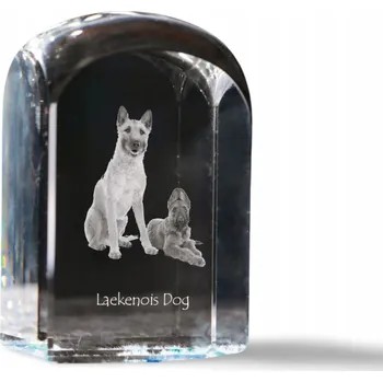 Obraz Laekenois Belgický ovčák - fotografie v křišťálu, památka, trofej