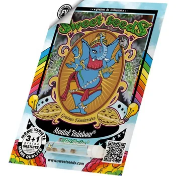 Pěstitelství Mental Rainbow F1 Fast Version® (balení 3+1)