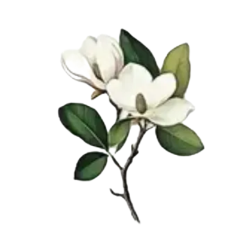 samolepka Samolepky - listy rostlin VIII (sada 5 ks)