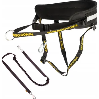 Vodítko pro psa Vodítko Dingo na běhání 1,7 m