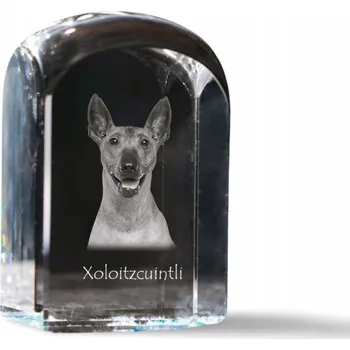 Obraz Mexický naháč - fotografie v křišťálu, suvenýr, těžítko