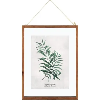 Obraz Listy Burretiokentia dřevěný rám