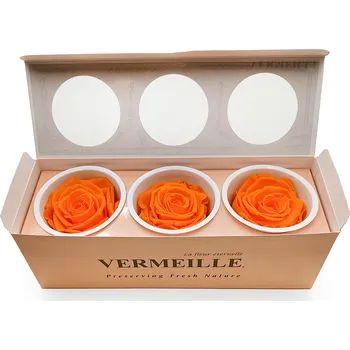 umělá květina mech-mech.cz Stabilizovaná růže XL - Oranžová - Orange 3 kusy