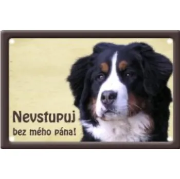 Plechová cedule Plechová cedulka Nevstupuj bez mého pána Bernský salašnický pes