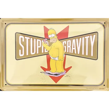 Plechová cedule Plechová cedule The Simpsons Homer Hloupá gravitace