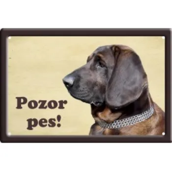 Plechová cedule Plechová cedulka Pozor pes Hannoverský barvář