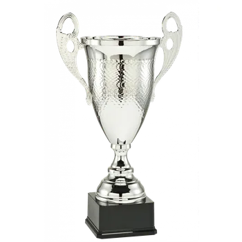 Stříbrný luxusní sportovní pohár 40,5 - 53 cm - 40,5 cm