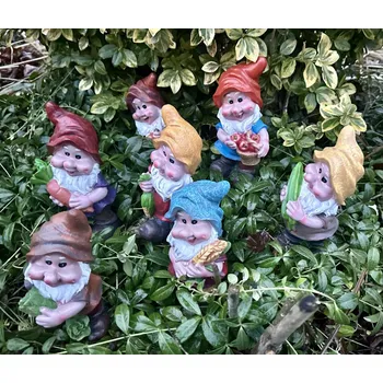 Zahradní dekorace Sada 7 trpaslíků za výhodnou cenu