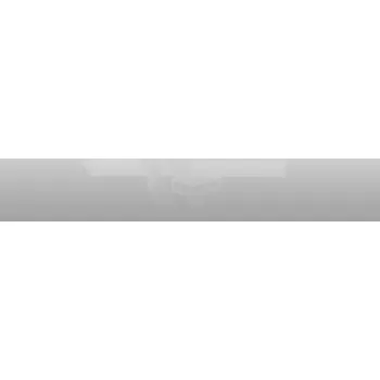 Zavírač dveří TS2000 BILY S RAMINKEM