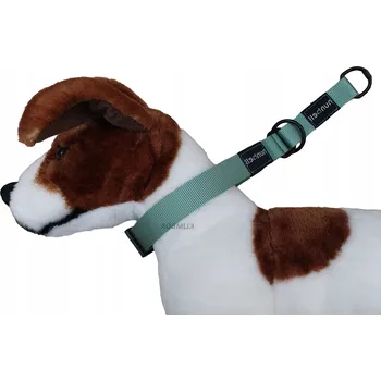 Obojek pro psa Materiálový obojek pro psa Nunbell, velikost L