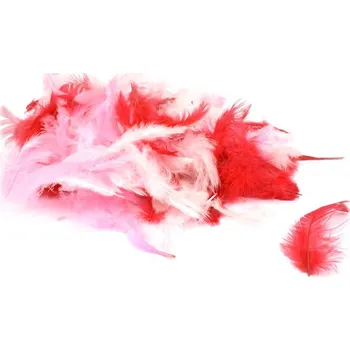 Peří Rayher, 10 g, růžovočervené