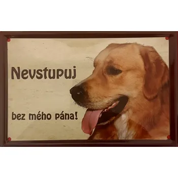 Plechová cedule Plechová cedulka Nevstupuj bez mého pána Zlatý retrívr