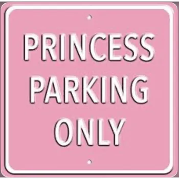 Plechová cedule Plechová cedule Princess parking only