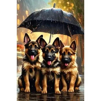 Diamantové malování Diamantové malování - Ovčáci pod deštníkem (40x50) + perleťové kamínky