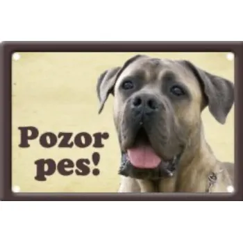 Plechová cedule Plechová cedulka Pozor pes Cane Corso