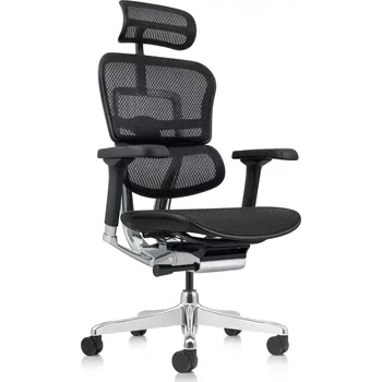 Kancelářské křeslo ERGOHUMAN NEO Q24