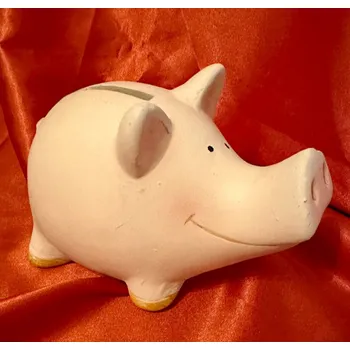 Pokladnička Pokladnička prasátko Emil