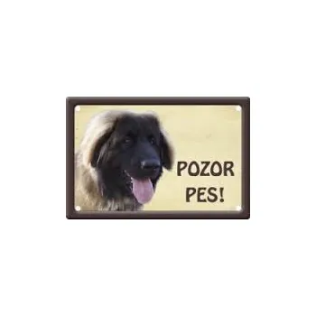 Plechová cedule Plechová cedulka Pozor pes Leonberger