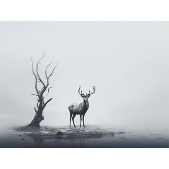 Obraz Foto obraz na plátně - Jelen na bílém pozadí - P/4030/1033