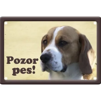 Plechová cedule Plechová cedulka Pozor pes Bígl