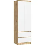 Skříň STAR S 60 cm 2D 2SZ dub artisan / bílá