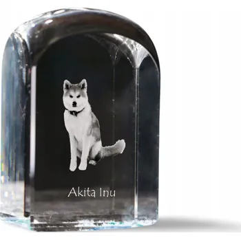 Obraz Akita fotografie v křišťálu, památka, trofej, těžítko na papír