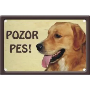 Plechová cedule Plechová cedulka Pozor pes Zlatý retrívr