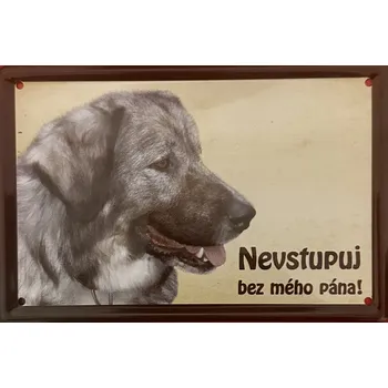 Plechová cedule Plechová cedulka Nevstupuj bez mého pána Kavkazský ovčák