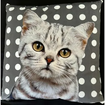 Polštář Polštář Kočka