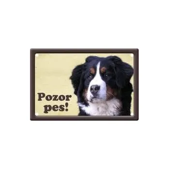 Plechová cedule Plechová cedulka Pozor pes Bernský salašnický pes